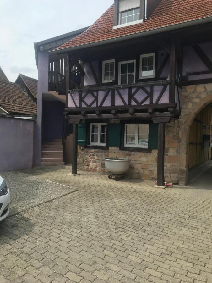 Gite Plain-Pied Avec Jardin Du Centre Alsace Ebersheim Экстерьер фото